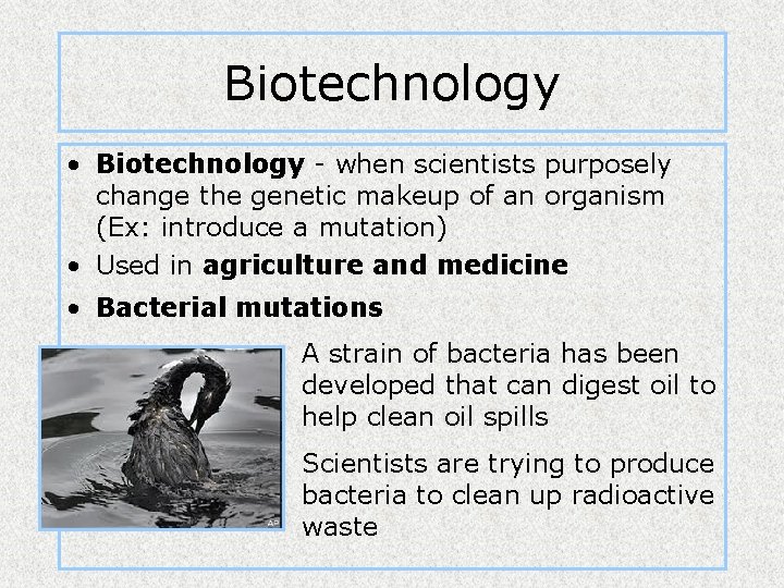 Biotechnology • Biotechnology - when scientists purposely change the genetic makeup of an organism