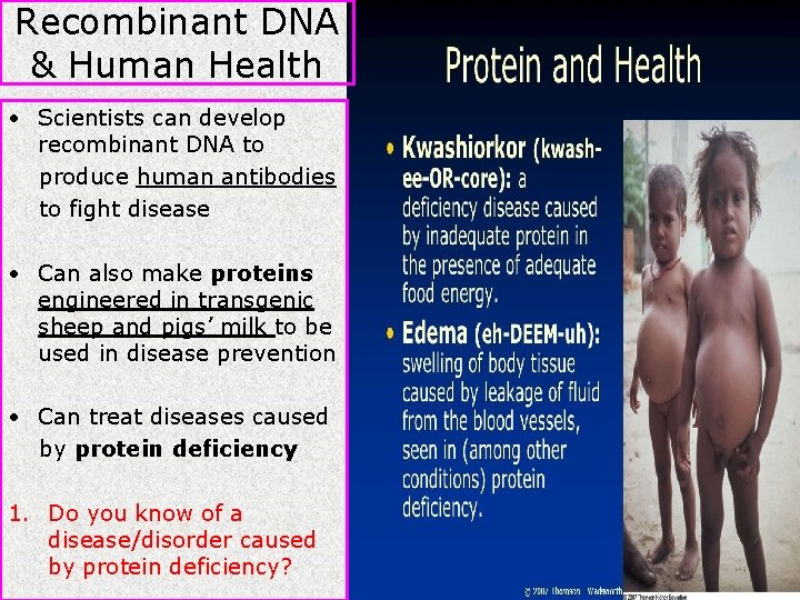 Recombinant DNA & Human Health • Scientists can develop recombinant DNA to produce human