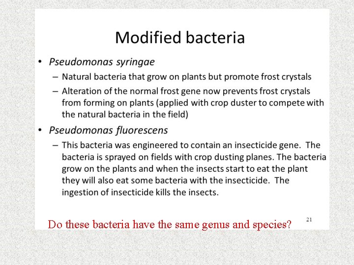 Do these bacteria have the same genus and species? Do these bacteria have the same genus and species?
