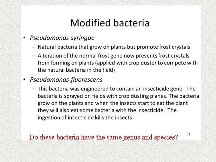 Do these bacteria have the same genus and species? 