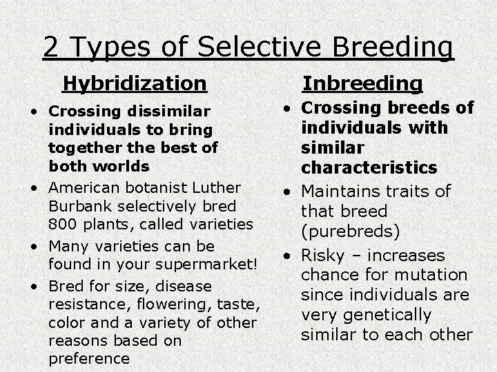 2 Types of Selective Breeding Hybridization • Crossing dissimilar individuals to bring together the