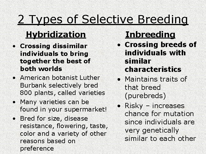 2 Types of Selective Breeding Hybridization • Crossing dissimilar individuals to bring together the 2 Types of Selective Breeding Hybridization • Crossing dissimilar individuals to bring together the