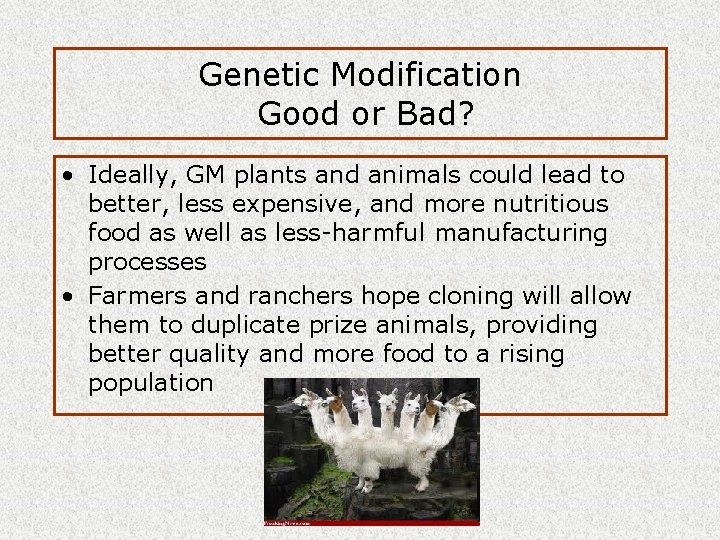 Genetic Modification Good or Bad? • Ideally, GM plants and animals could lead to