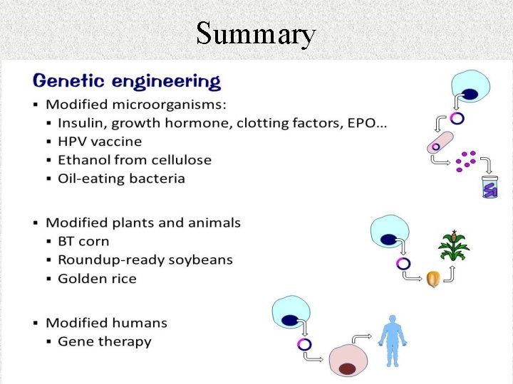 Summary Summary