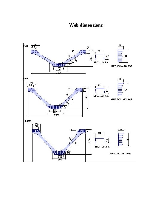 Web dimensions 