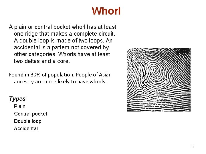 Whorl A plain or central pocket whorl has at least one ridge that makes