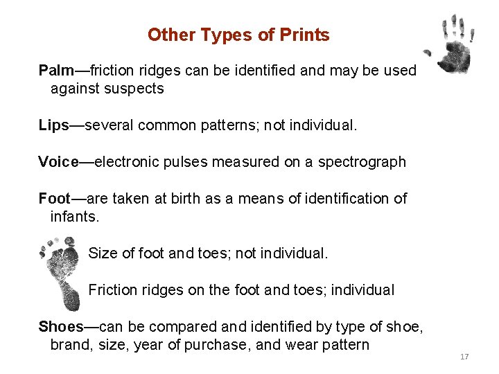 Other Types of Prints Palm—friction ridges can be identified and may be used against