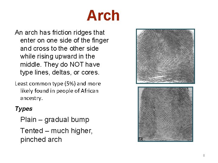 Arch An arch has friction ridges that enter on one side of the finger