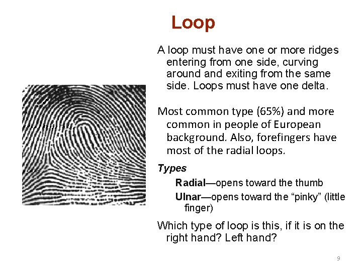 Loop A loop must have one or more ridges entering from one side, curving