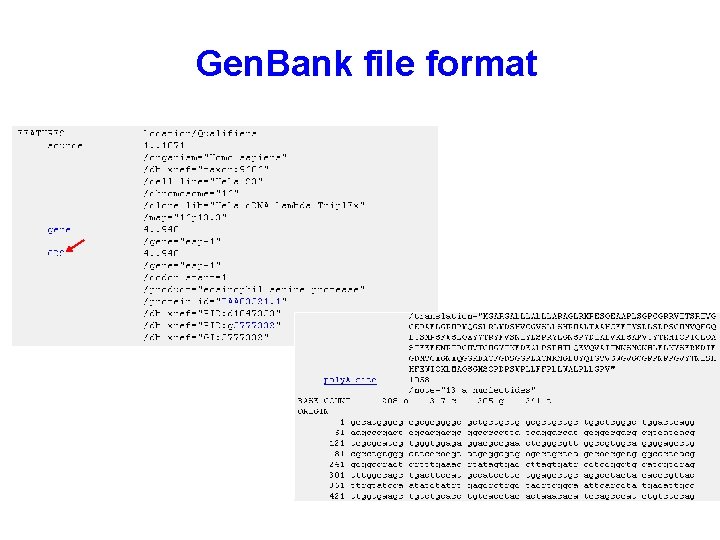 Gen. Bank file format 