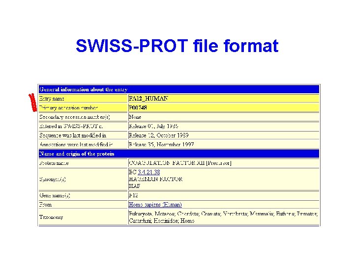 SWISS-PROT file format 