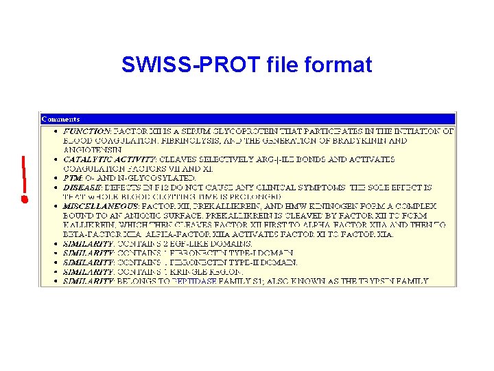 SWISS-PROT file format 