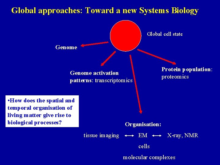 Global approaches: Toward a new Systems Biology Global cell state Genome Protein population: proteomics