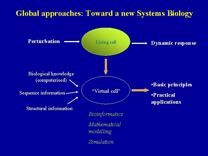 Global approaches: Toward a new Systems Biology Perturbation Living cell Biological knowledge (computerised) Sequence