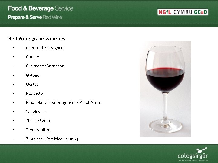 Red Wine grape varieties • Cabernet Sauvignon • Gamay • Grenache/Garnacha • Malbec •