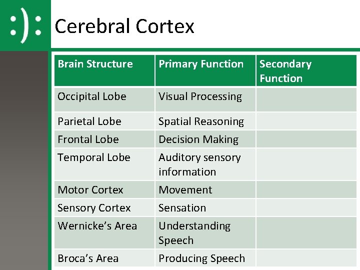 Cerebral Cortex Brain Structure Primary Function Occipital Lobe Visual Processing Parietal Lobe Spatial Reasoning