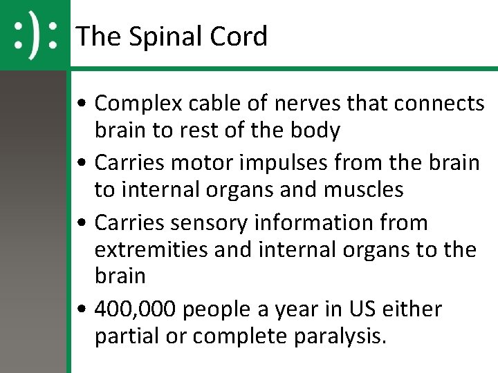 The Spinal Cord • Complex cable of nerves that connects brain to rest of