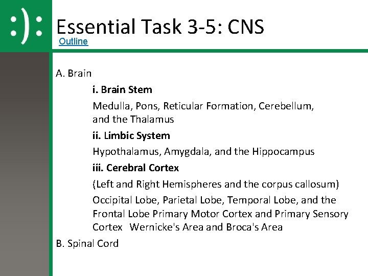 Essential Task 3 -5: CNS Outline A. Brain i. Brain Stem Medulla, Pons, Reticular