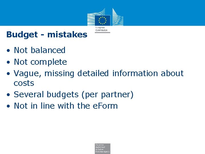 Budget - mistakes • Not balanced • Not complete • Vague, missing detailed information