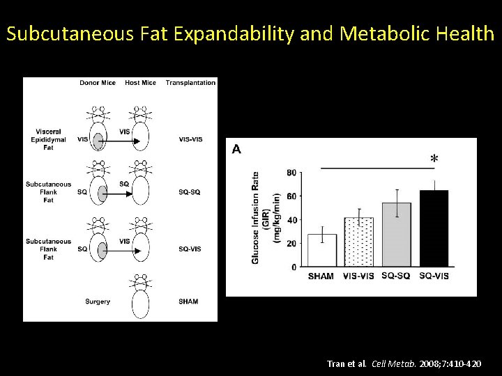 Subcutaneous Fat Expandability and Metabolic Health Tran et al. Cell Metab. 2008; 7: 410