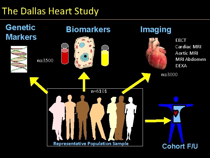 The Dallas Heart Study Genetic Markers Biomarkers Imaging EBCT Cardiac MRI Aortic MRI Abdomen