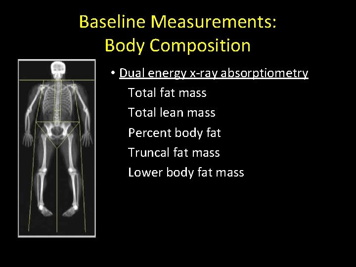 Baseline Measurements: Body Composition • Dual energy x-ray absorptiometry Total fat mass Total lean