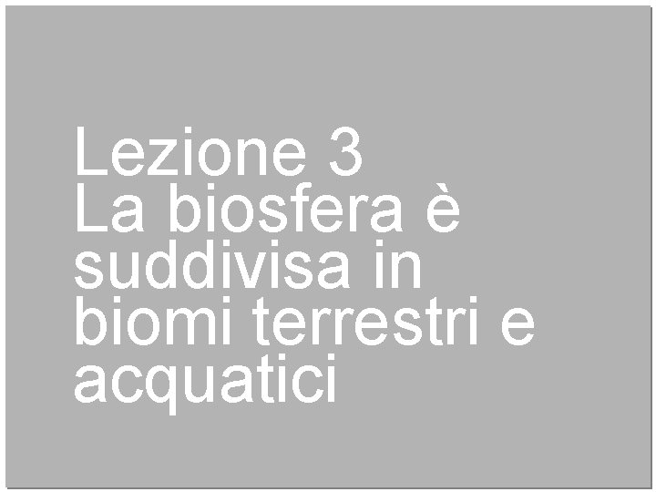 Lezione 3 La biosfera è suddivisa in biomi terrestri e acquatici 