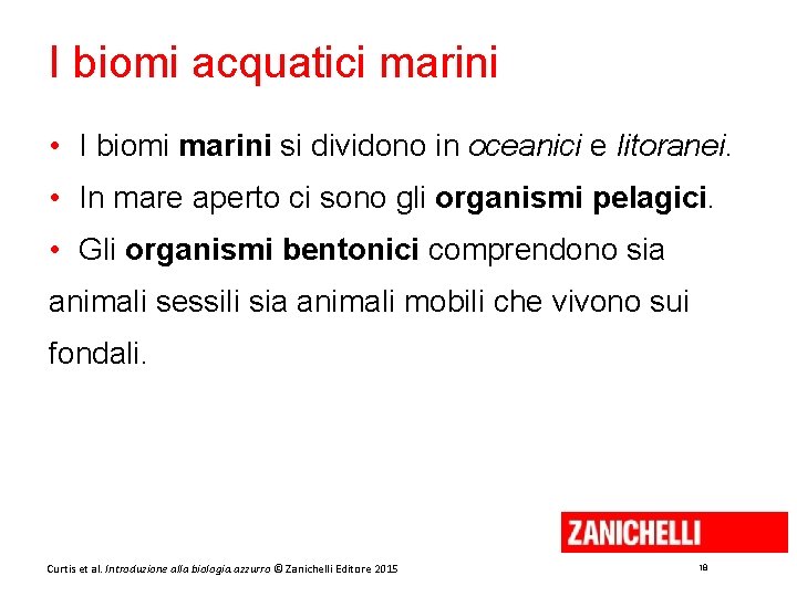 I biomi acquatici marini • I biomi marini si dividono in oceanici e litoranei.