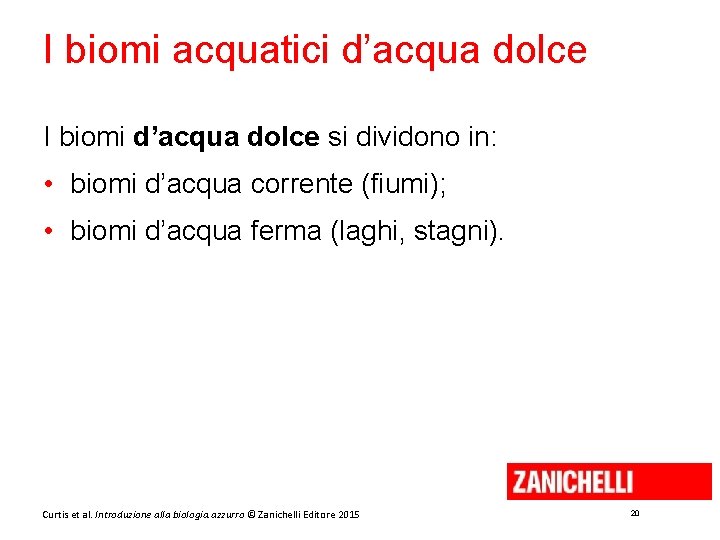 I biomi acquatici d’acqua dolce I biomi d’acqua dolce si dividono in: • biomi