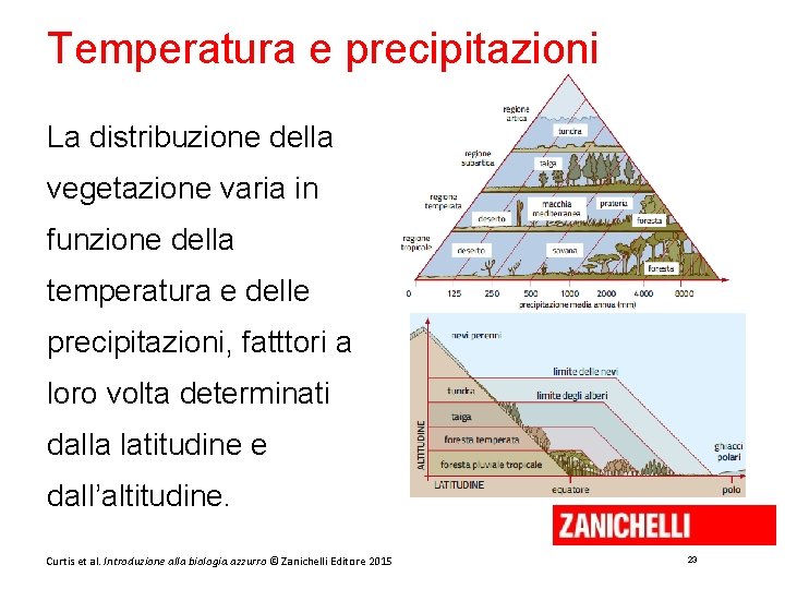 Temperatura e precipitazioni La distribuzione della vegetazione varia in funzione della temperatura e delle