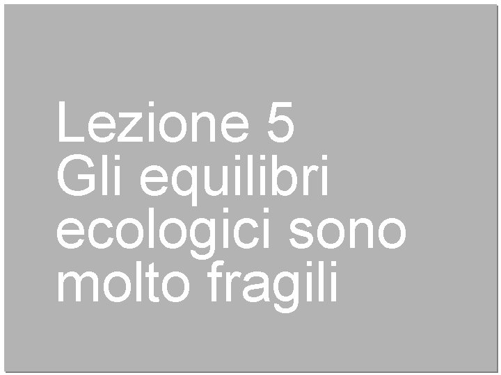 Lezione 5 Gli equilibri ecologici sono molto fragili 