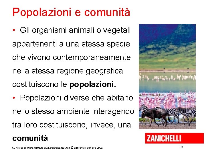 Popolazioni e comunità • Gli organismi animali o vegetali appartenenti a una stessa specie