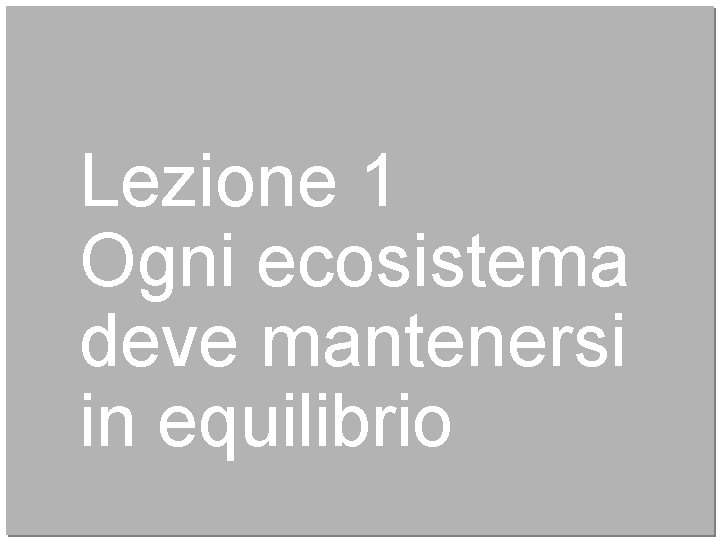 Lezione 1 Ogni ecosistema deve mantenersi in equilibrio 