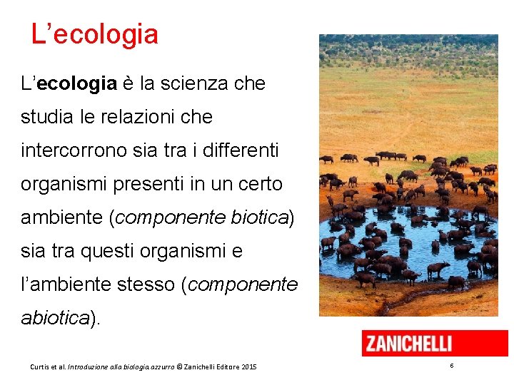 L’ecologia è la scienza che studia le relazioni che intercorrono sia tra i differenti