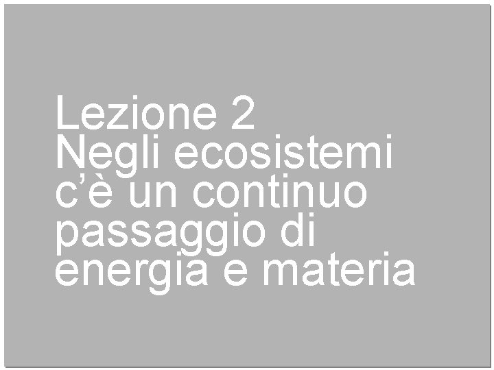 Lezione 2 Negli ecosistemi c’è un continuo passaggio di energia e materia 