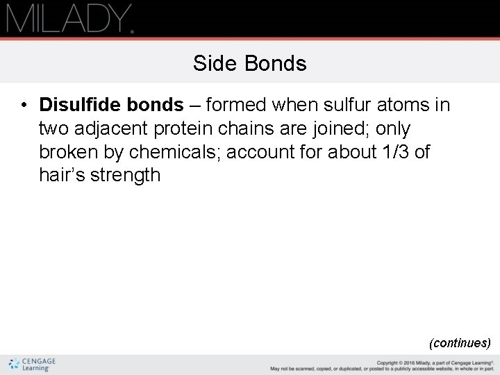 Side Bonds • Disulfide bonds – formed when sulfur atoms in two adjacent protein