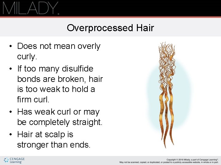 Overprocessed Hair • Does not mean overly curly. • If too many disulfide bonds