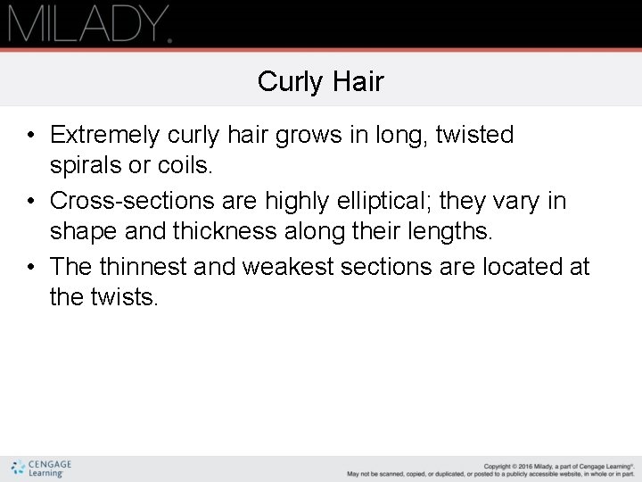Curly Hair • Extremely curly hair grows in long, twisted spirals or coils. •