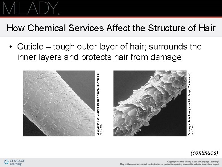 How Chemical Services Affect the Structure of Hair Courtesy of P&G Beauty from John
