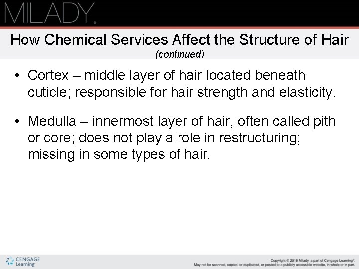 How Chemical Services Affect the Structure of Hair (continued) • Cortex – middle layer