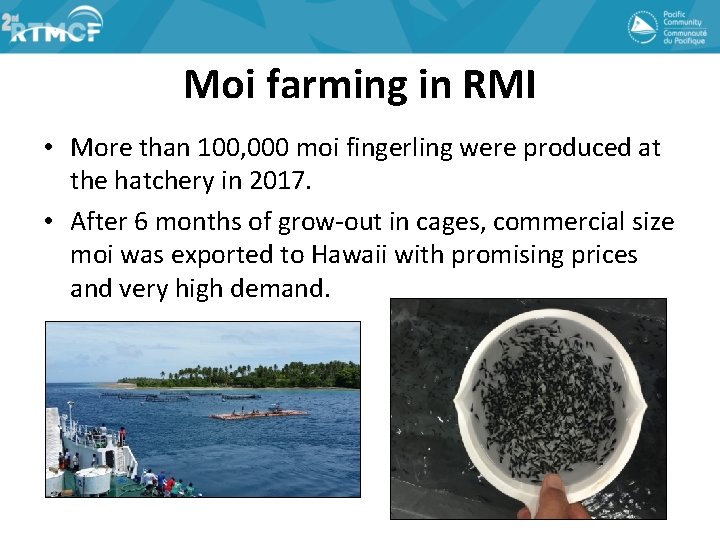 Moi farming in RMI • More than 100, 000 moi fingerling were produced at