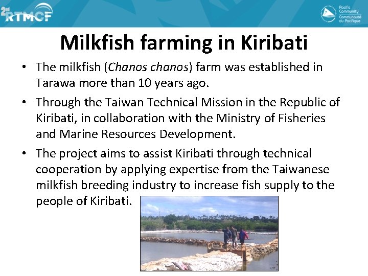 Milkfish farming in Kiribati • The milkfish (Chanos chanos) farm was established in Tarawa