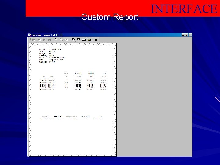 Custom Report INTERFACE 
