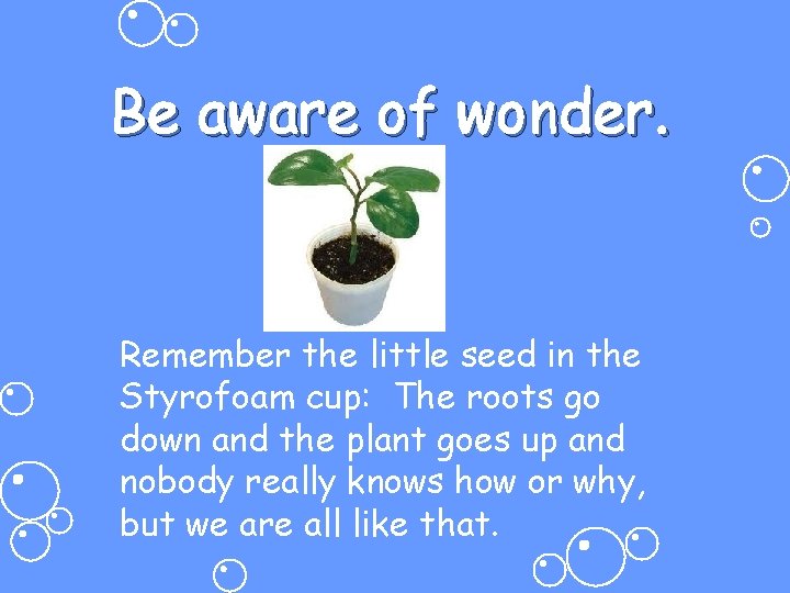 Be aware of wonder. Remember the little seed in the Styrofoam cup: The roots
