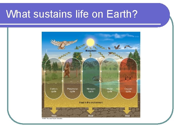 What sustains life on Earth? 