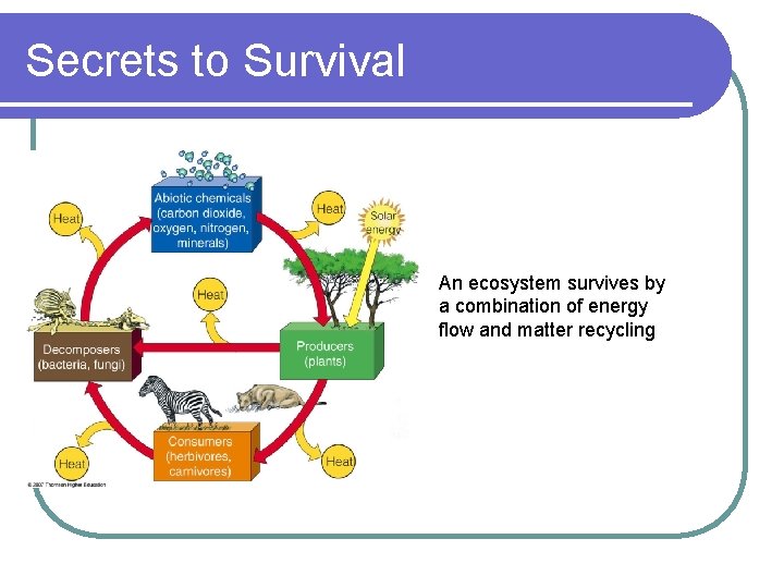 Secrets to Survival An ecosystem survives by a combination of energy flow and matter