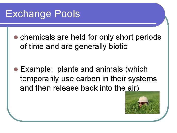 Exchange Pools l chemicals are held for only short periods of time and are