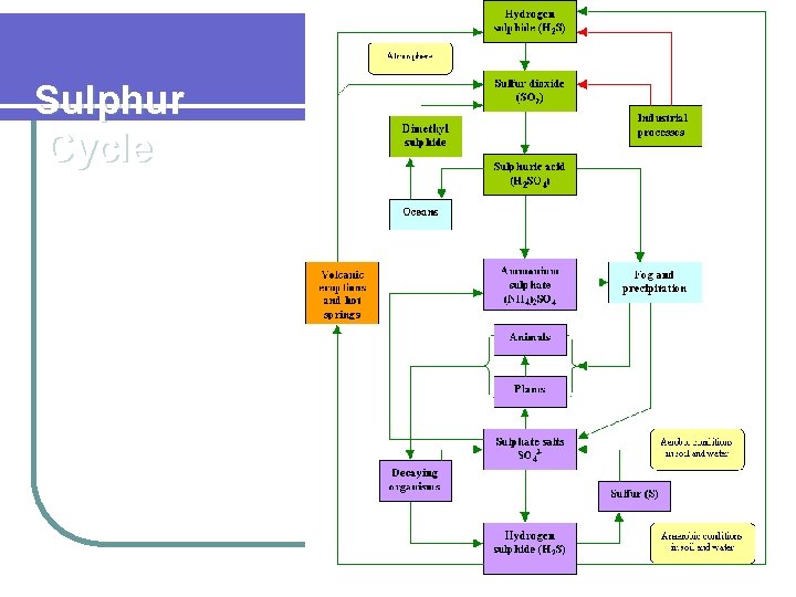 Sulphur Cycle 