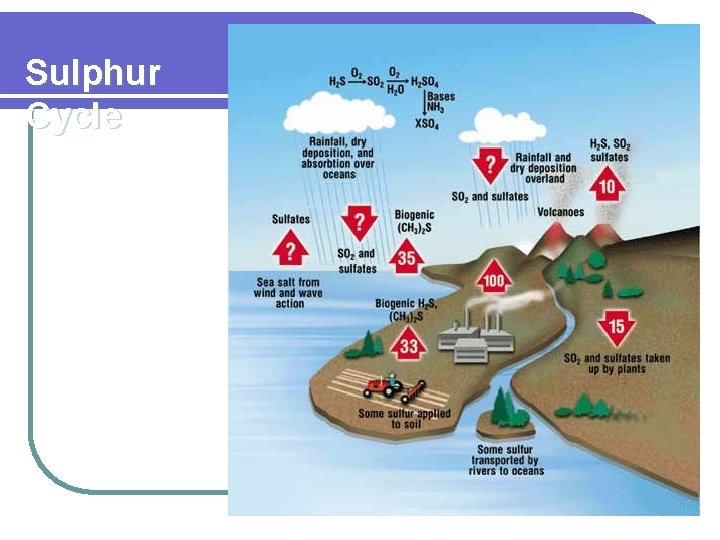 Sulphur Cycle 