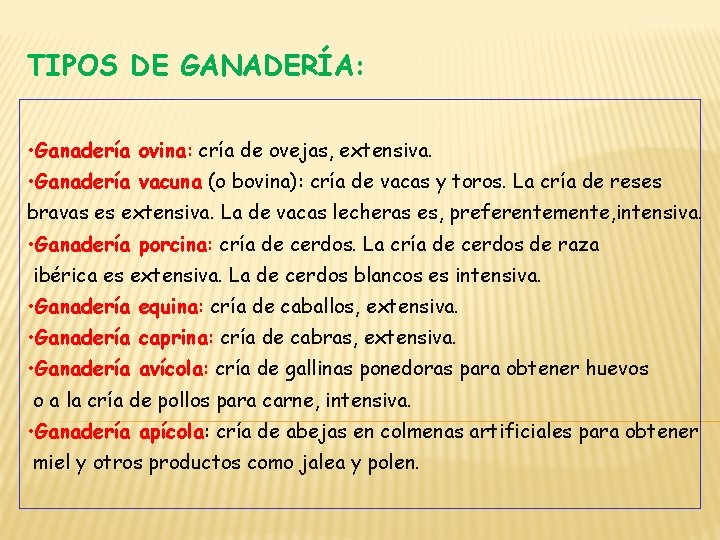 TIPOS DE GANADERÍA: • Ganadería ovina: cría de ovejas, extensiva. • Ganadería vacuna (o